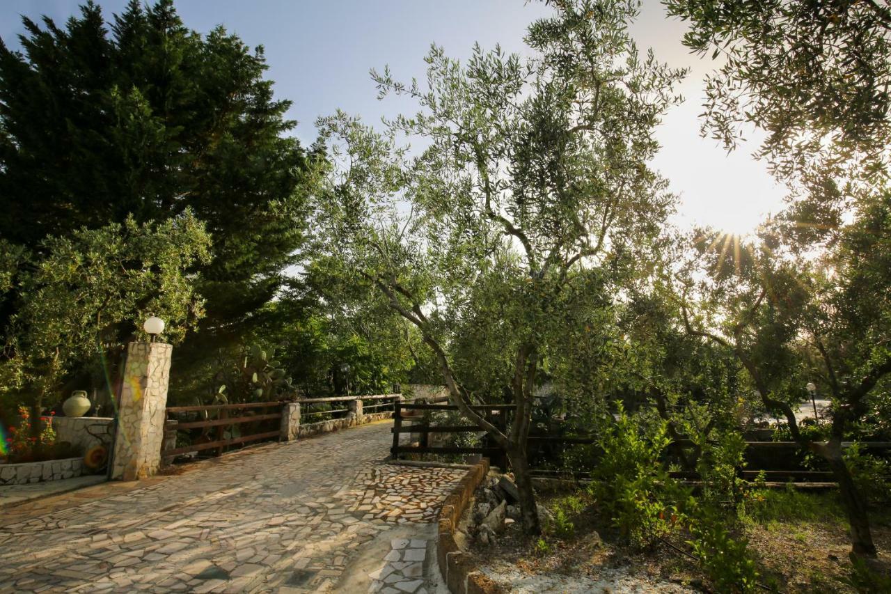 Agriturismo Da Mauro 비에스테 외부 사진