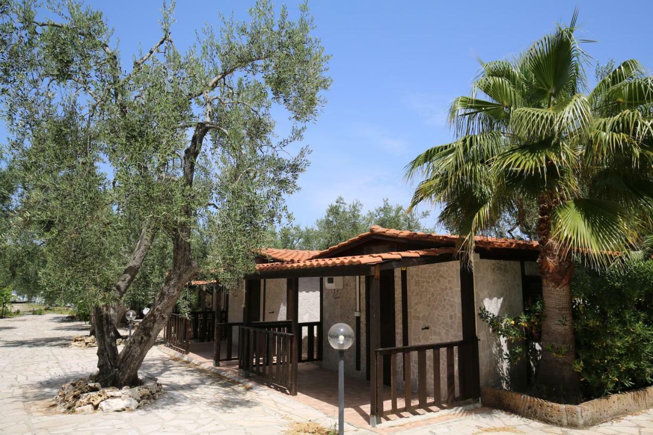 Agriturismo Da Mauro 비에스테 외부 사진